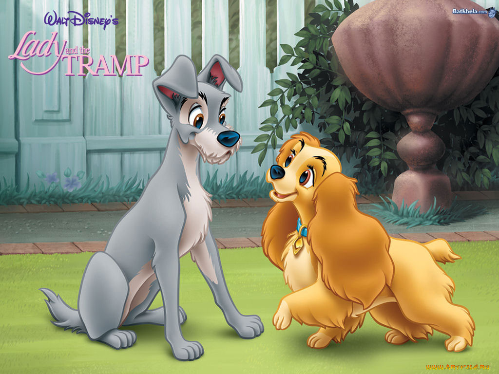 , lady, and, the, tramp